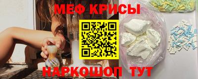 стаф Гатчина