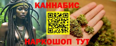 стаф Гатчина