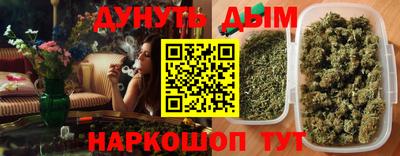 стаф Гатчина