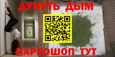 стаф Гатчина