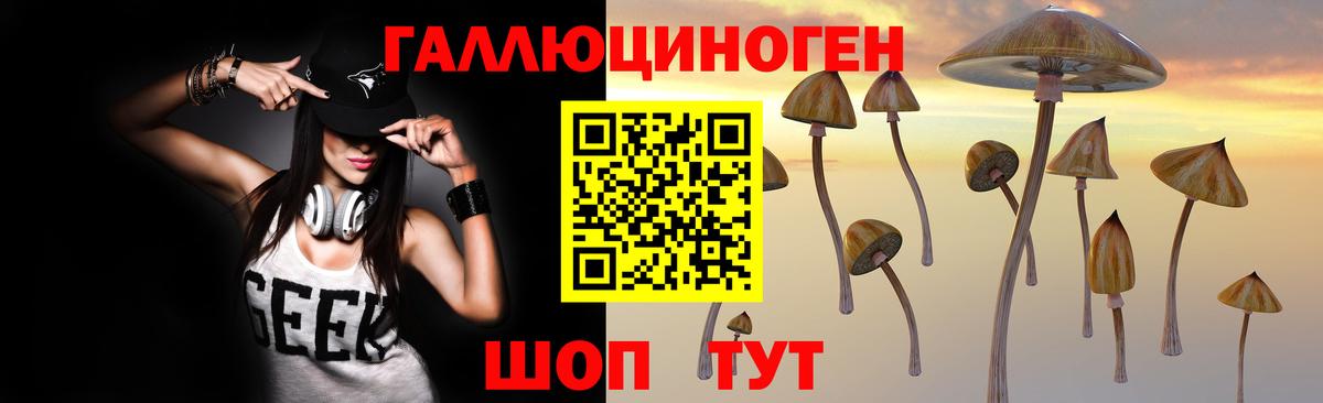 Кувандык  Галлюциногенные грибы ЛСД  Вход с VPN 