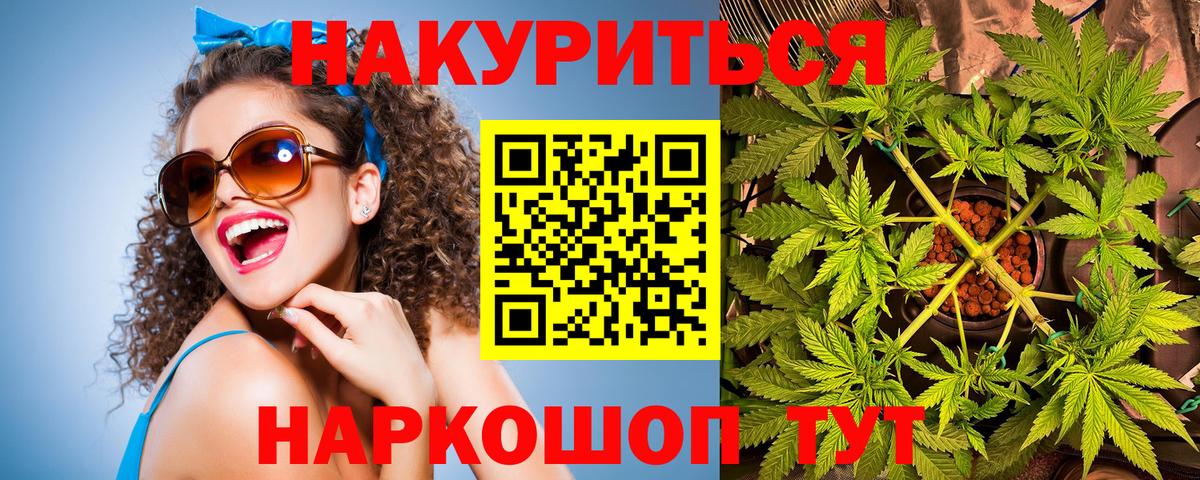 Бошки марихуана планчик  Марихуана Ganja  Кувандык  Бошки марихуана OG Kush  Вход с VPN 